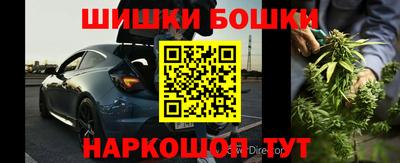 шишки Дубна