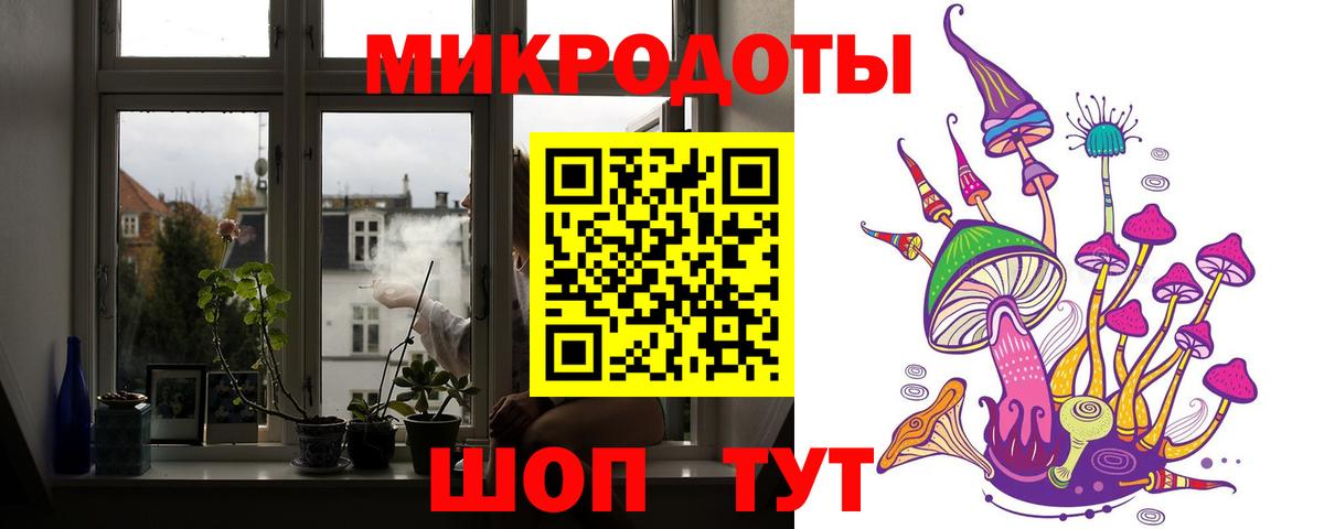 Псилоцибиновые грибы Psilocybe Лосино-Петровский